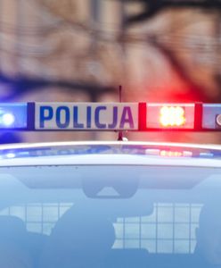 Ustawił sobie żywy cel i strzelał do niego z wiatrówki. Nie skończył po jednym razie