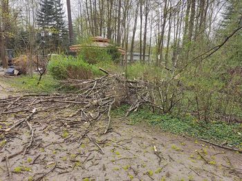 Silny wiatr w regionie. W Białych Błotach konar spadł na ogrodzenie jednej z nieruchomości