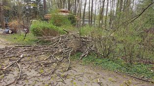 Silny wiatr w regionie. W Białych Błotach konar spadł na ogrodzenie jednej z nieruchomości