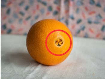Jak wybrać najsłodsze pomarańcze? Spójrz na ich "pępek" w sklepie