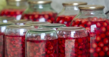 Kompot wiśniowy po łowicku. Nasi przodkowie pili przez całe lato