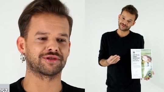 Obraz