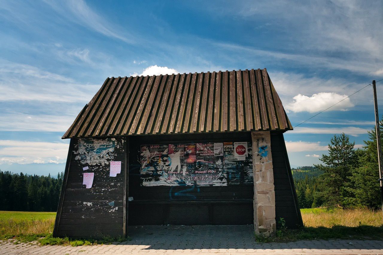 "7 km skrótem przez las". Ten problem dotyka kilkunastu milionów Polaków