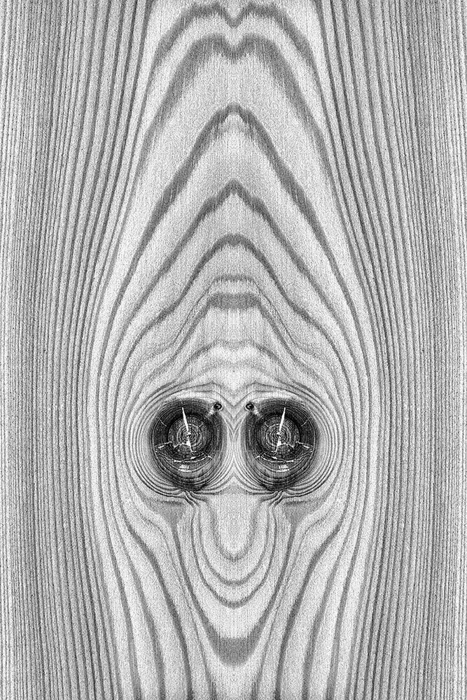 Prix de la Photographie Paris 2014. Polacy wśród nagrodzonych 29