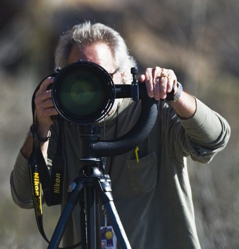 Ruszyła internetowa galeria dla fanów Nikona. Zwykły klon czy ciekawa alterantywa dla fotografów? 1