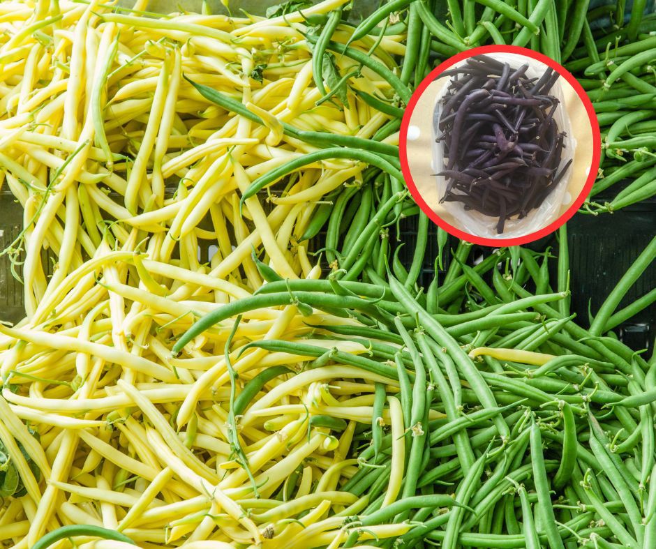 Takiej fasolki nigdy nie jedz. To znak, że zmieniła się w truciznę