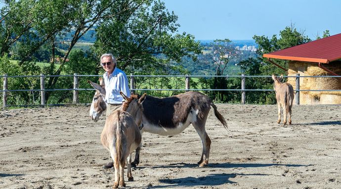 Luca. Legenda Ferrari