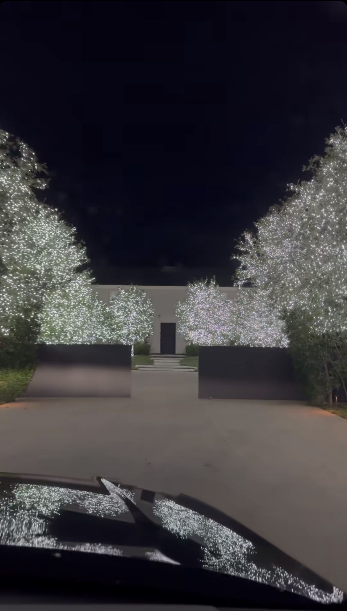 Kim Kardashian went wild and showed off her holiday decorations.
