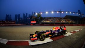 GP Brazylii: Pierwsza kara dla Red Bulla