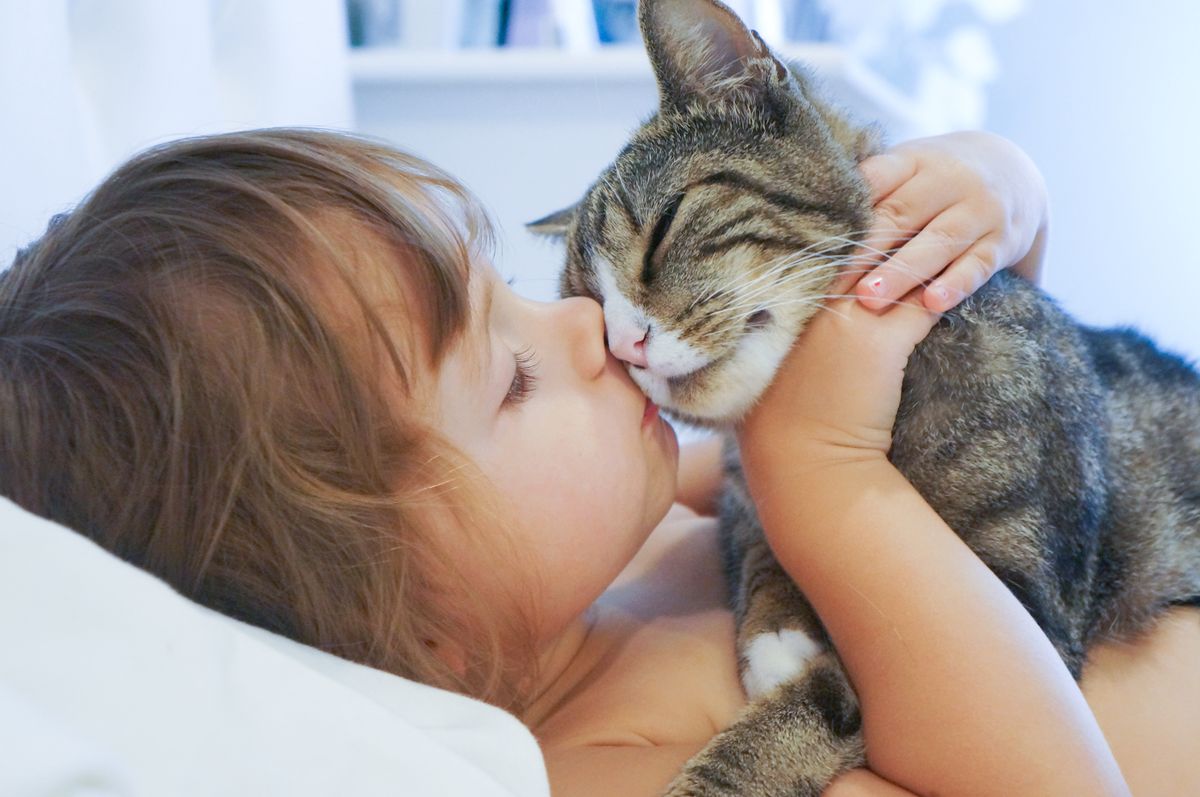 Czy można całować kota? (Adobe Stock)