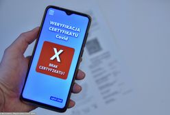 Weryfikacja szczepień przez pracowników przesunięta w czasie. W styczniu ma odbyć się jej publiczne wysłuchanie