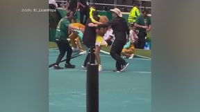 Nagranie podbija sieć. Zobacz, co Shakira zrobiła po ceremonii otwarcia MŚ