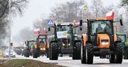 Protesty rolników w Polsce. "Potrzebny jest dialog z Ukrainą i KE"