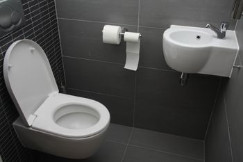 Zgnieć i włóż do spłuczki. "Wyżre" cały kamień i brud