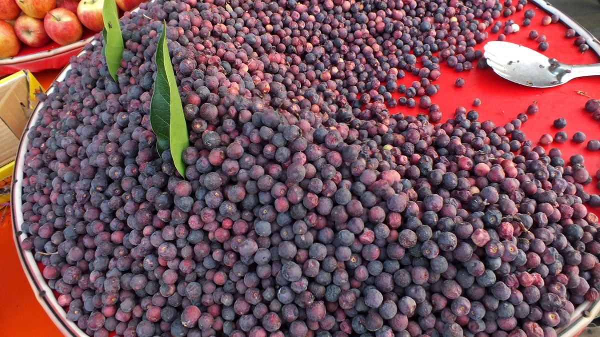 Borówki, jagody i winogrona to bogactwo antyoksydantów. Dla serca i jelit nie ma nic lepszego