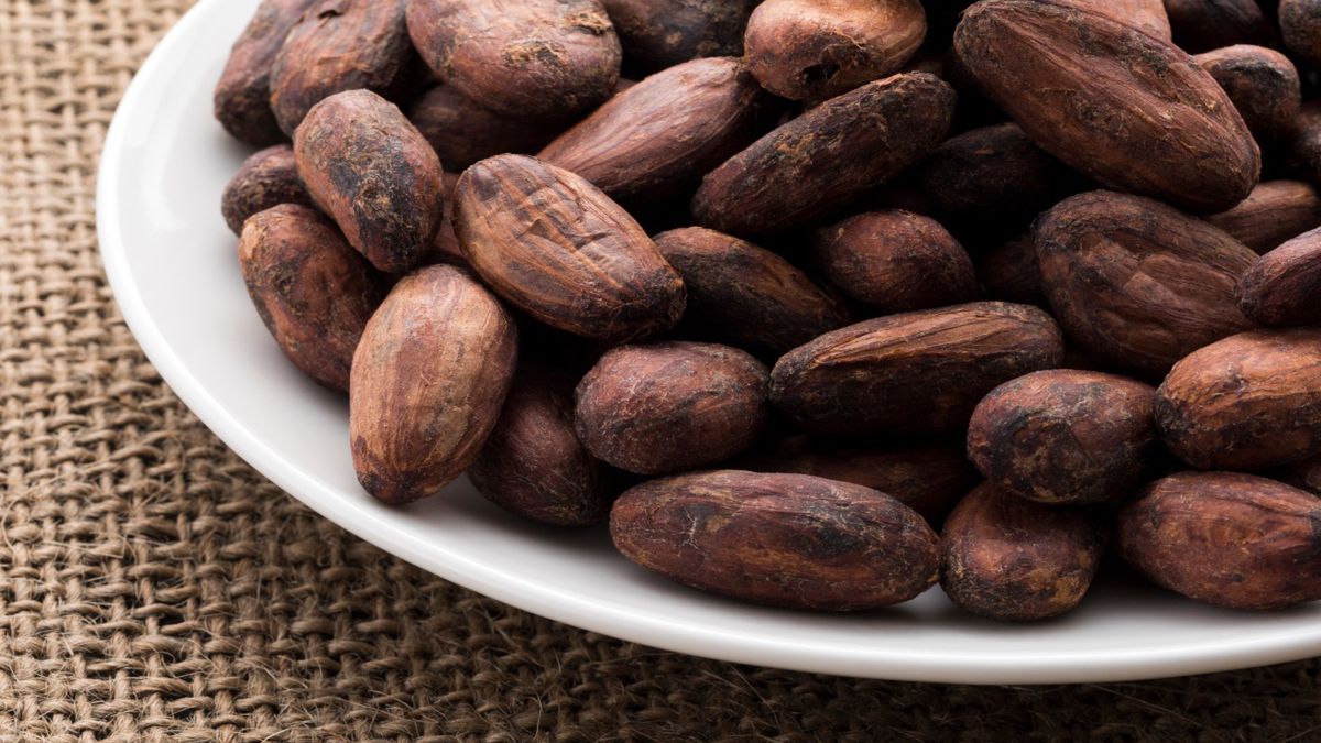 Dlaczego warto jeść ziarna kakaowca?
