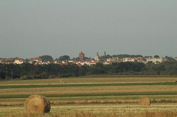Obraz