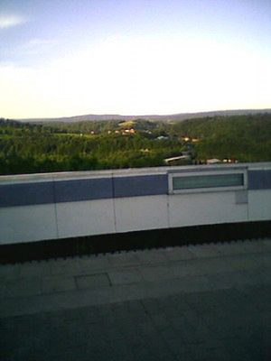 Obraz