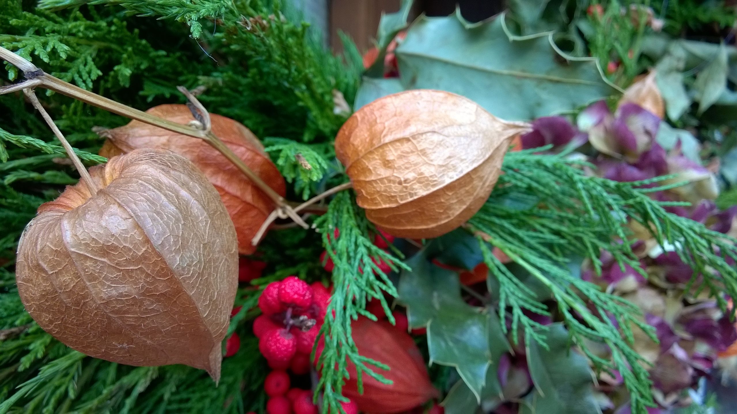 Nokia Lumia 830 - przykładowe zdjęcia 21