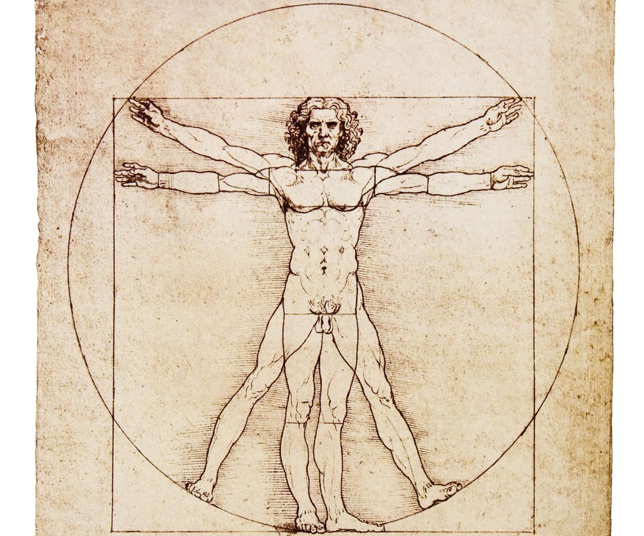"Człowiek witruwiański" Leonarda Da Vinci
