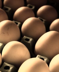 Jaja z chowu klatkowego wkrótce znikną z Biedronki. Sieć szybciej spełni obietnicę