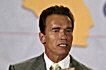 Schwarzenegger faworytem w wyborach