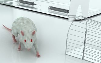 Ustawa o ochronie zwierząt czeka na podpis prezydenta