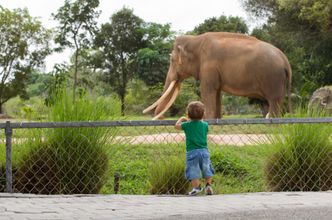 Raport UE: W Polsce złe warunki zwierząt w zoo