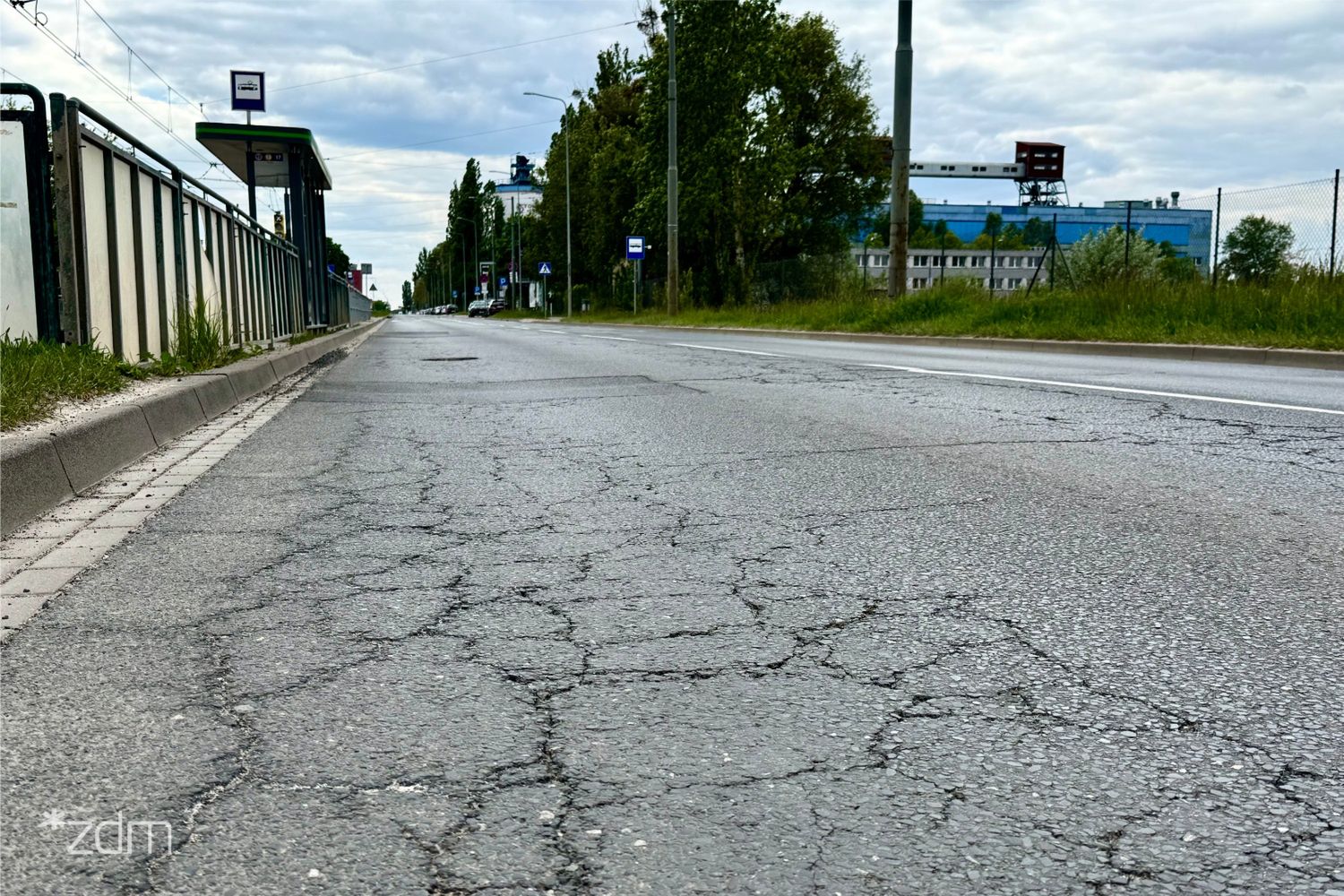 Fot. A. Karczewska