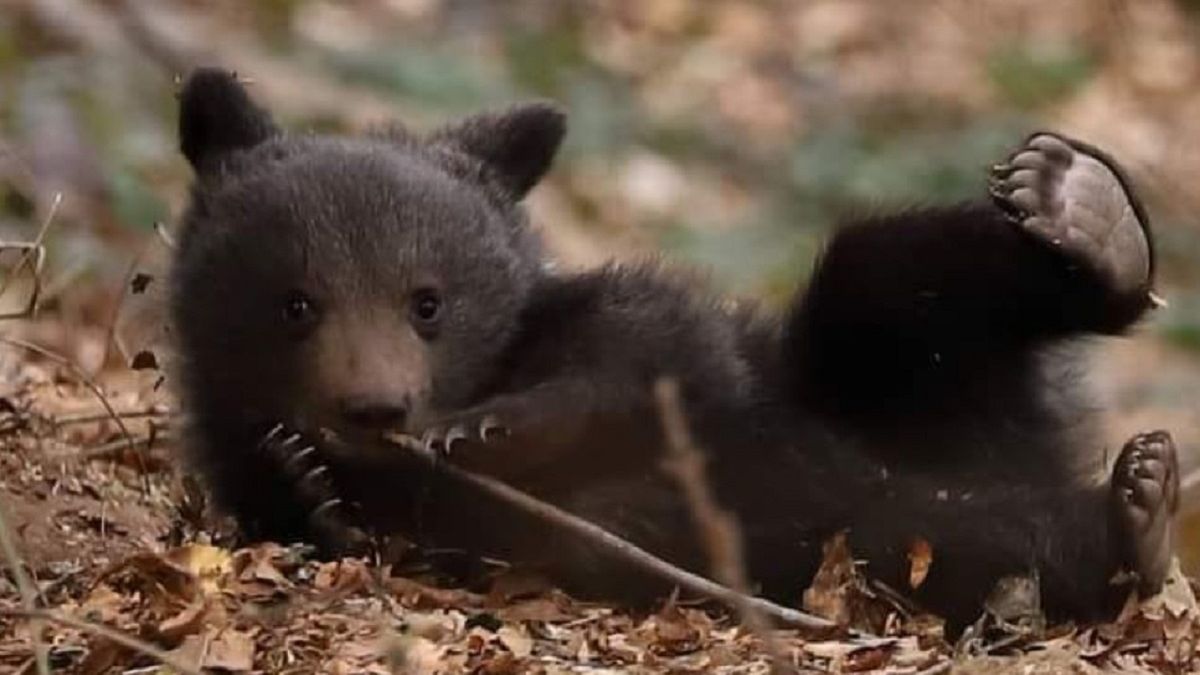 To zdjęcie jest hitem internetu. 