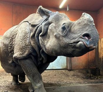 Oto seniorzy warszawskiego zoo. "Skradli niejedno serce"