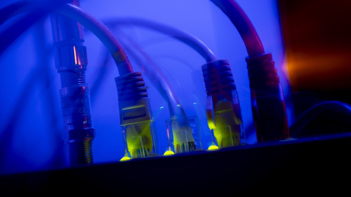 Ethernet calbe wires lighting up connected to an internet router modem are seen against a blue background in Warsaw, Poland in this illustration photo taken on 17 April, 2024. (Photo by Jaap Arriens/NurPhoto via Getty Images)