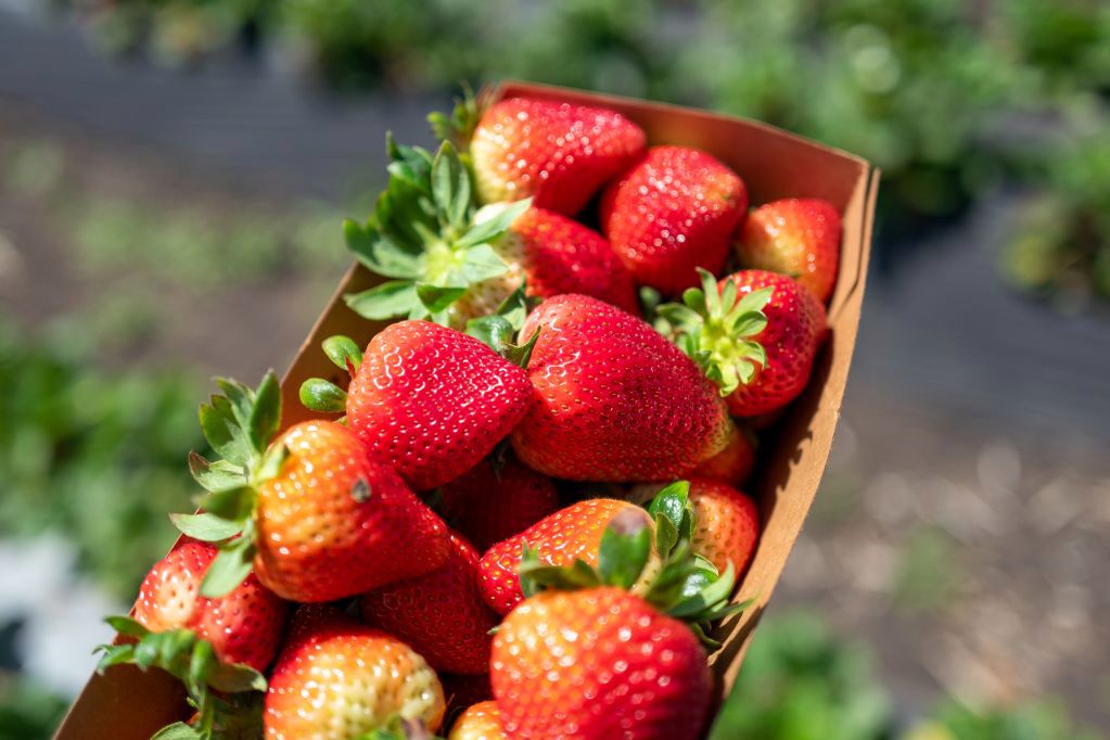 Mało osób wie, że to może być uczulenie. Chorzy ignorują objawy