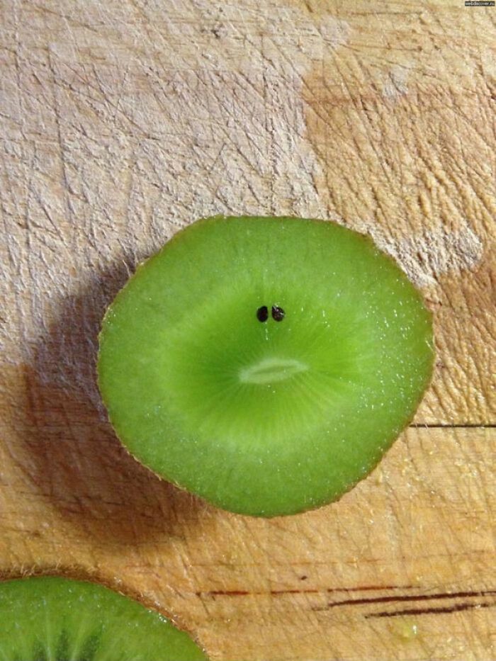 Przykład pareidolii.