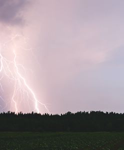 Tragedia koło Jędrzejowa. Kobietę trafił piorun