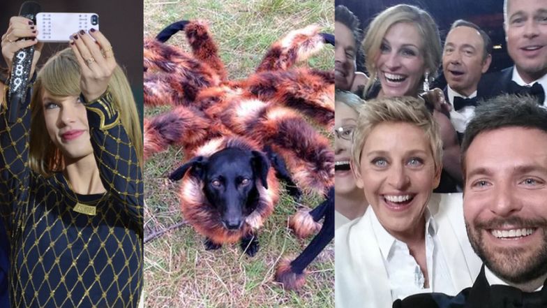 Hity internetu w 2014 roku