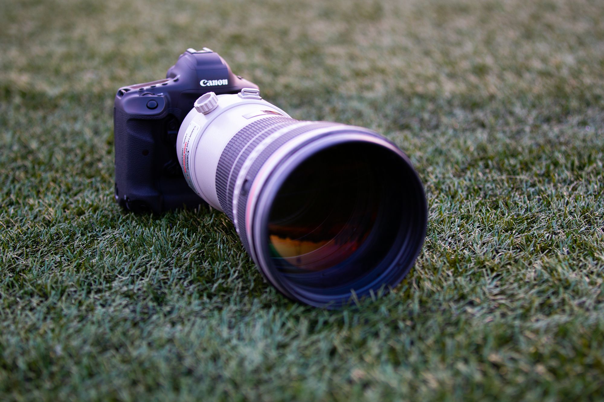 Z aparatem wśród Panter, czyli Canon EOS-1D X Mark III w akcji 33
