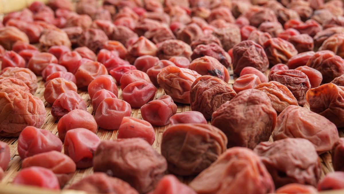 Drying Umeboshi in DaylightClose-up shot, umeboshi or pickled Japanese plums placed on a flat bamboo colander to dry them in daylight.Yuko Yamada