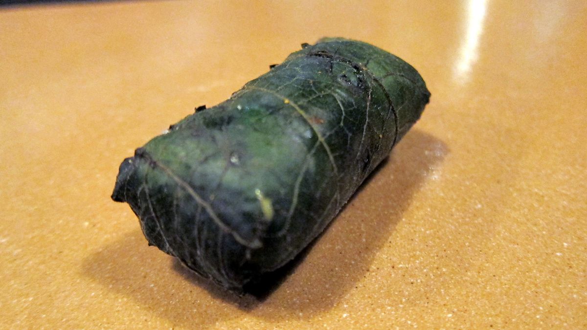 Gotowane liście dyni bez dodatku soli, odsączone