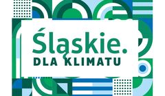 Sześć ofert w przetargu na kampanię "Śląskie dla klimatu"