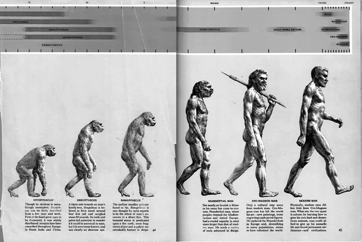 ewolucja: early man 1965