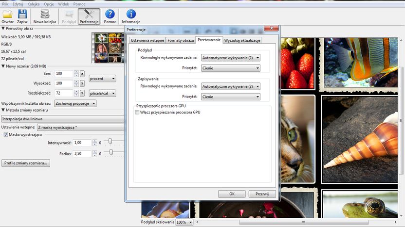 PhotoZoom Pro 4