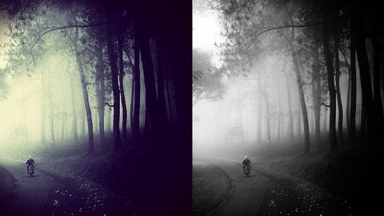 Skradzione zdjęcie nagrodzone w konkursie Samsunga. Jak do tego doszło? 1