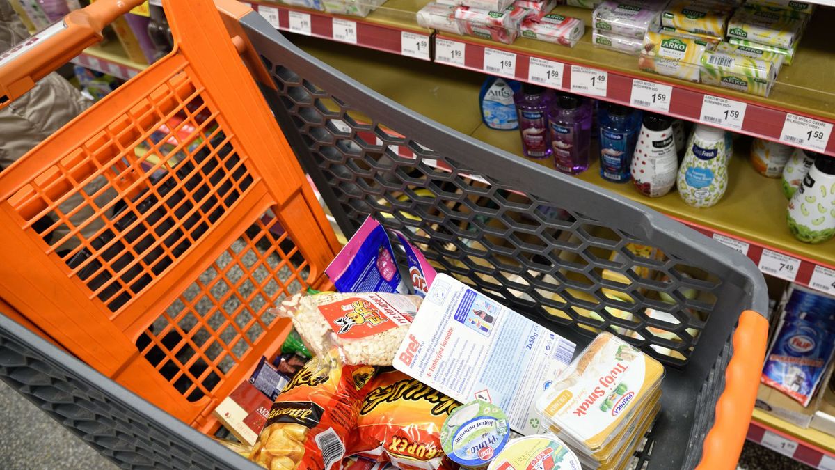 koszyk z zakupami/ zdjęcie poglądowe