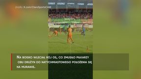 #dziejesiewsporcie: Przerażające sceny w trakcie meczu. Piłkarze padli na murawę