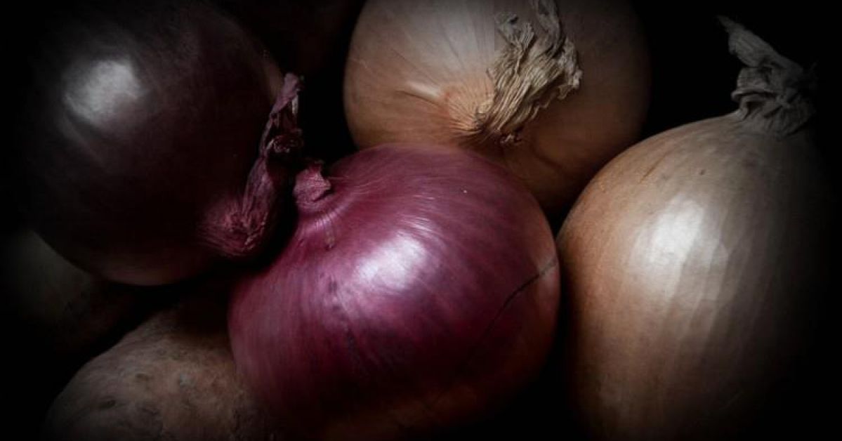 Biała, czerwona czy żółta cebula, każdy jej używa. Jednak mało kto wie, że różni je aż tak wiele!