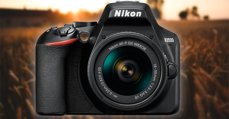 Nikon D3500 - przyjazna lustrzanka dla początkujących