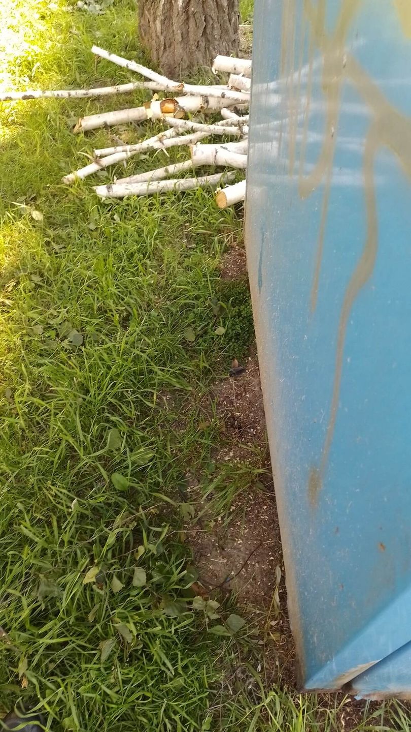 Mięso nafaszerowane gwoździem i kawałkiem metalu