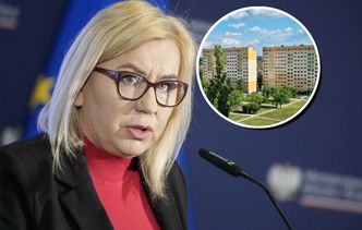 Wraca "Czyste powietrze", ale czy wystarczy? Eksperci mówią o "wielkiej płycie"