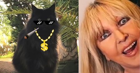 Kot Maryli Rodowicz z WULGARNYM przekazem: "I don't give a FU*K. You can SU*K MY DI*K"